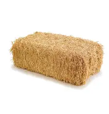 [BP] Ballot de paille 