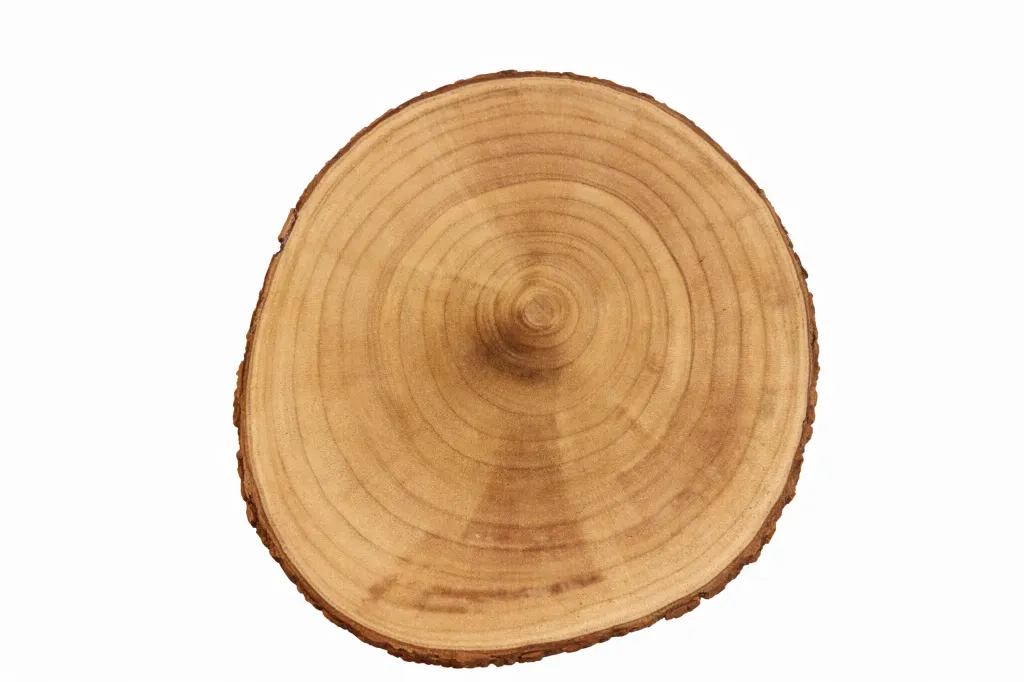 Rondin de bois (diam +/-35cm)