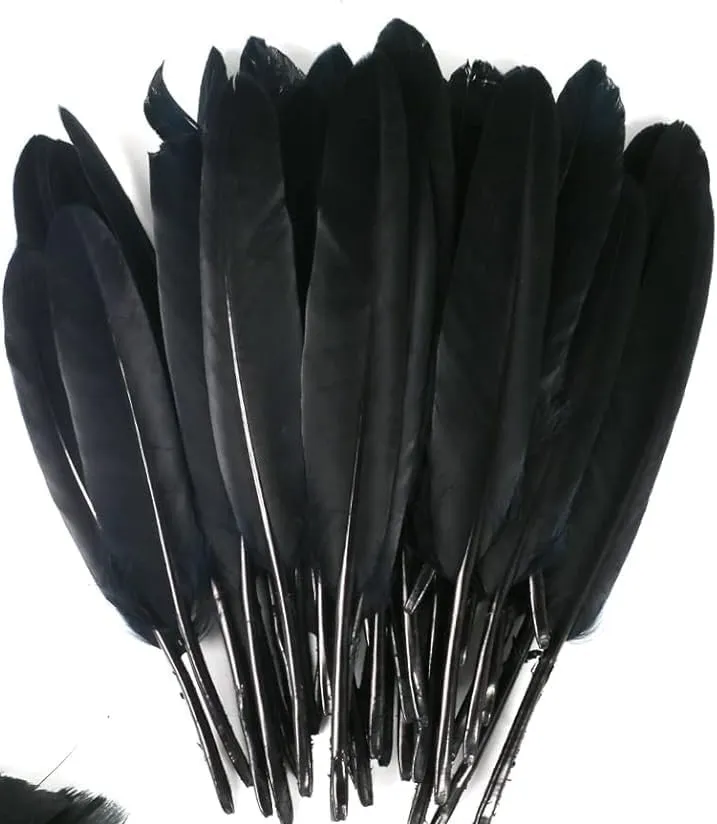 [PN10] Plume noir 10cm